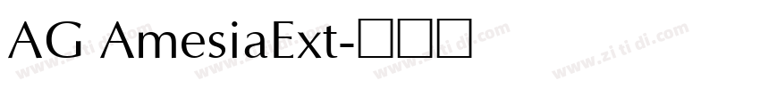AG AmesiaExt字体转换